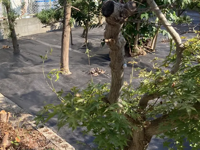 ◎予約から施工まで100%自社対応◎女性スタッフ活躍中♬◎損害保険加入店サービスの画像