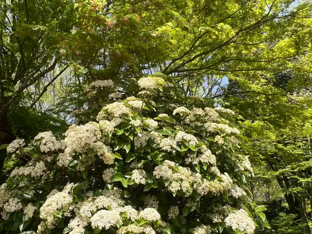 年中無休！近隣の方々にご迷惑にならないよう対応しますサービスの画像