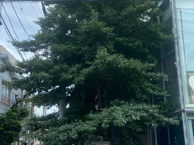 《年中無休》迅速・丁寧！作業外注一切なし◎訪問時の駐車場代は当店が負担！サービスの画像