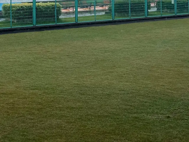 外回り簡易整備（草刈り・清掃・軽補修）サービスの画像