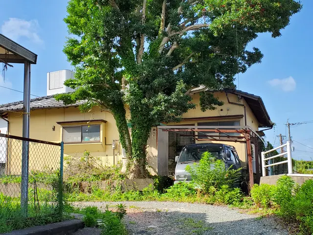 庭木の伐採・抜根 【複数5本以上40％割引】サービスの画像