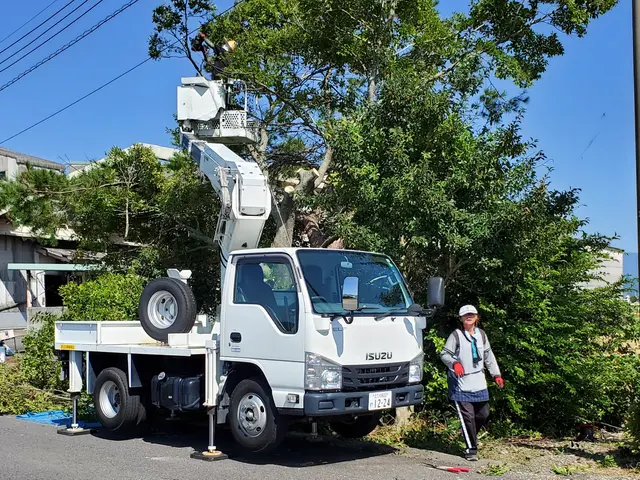 庭木の伐採・抜根 【複数5本以上40％割引】サービスの画像