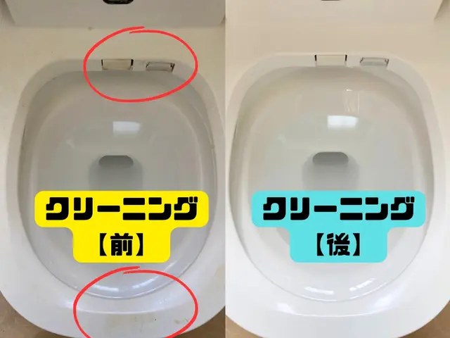 ✯アワード受賞店舗✯頑固な尿石や水アカも綺麗さっぱり◎トイレに神様はいます！サービスの画像