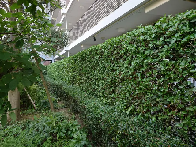 豊富な経験で安心！女性スタッフ同行可能♪アフターケアも力入れています！サービスの画像