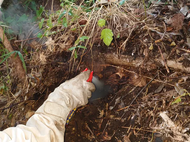 駆除だけじゃない。《ハチ生態の専門家》だから、適切な処置と説明で安心を届けます!サービスの画像