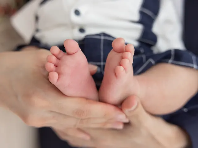 お宮参り撮影50カット