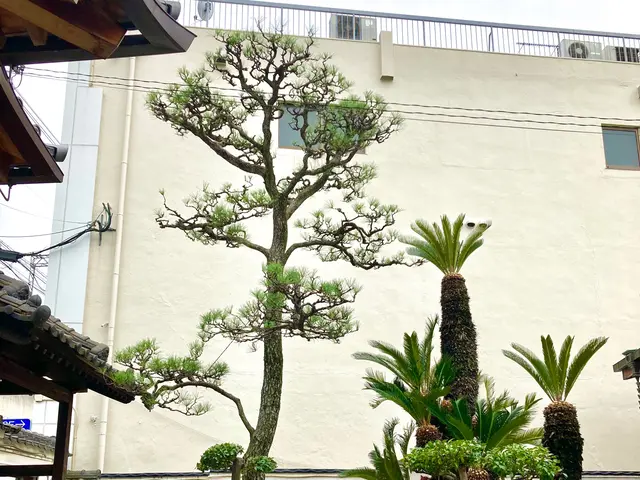 業歴19年以上★少量からでも大歓迎★緑や庭のことならお任せ下さい★一級造園技能士サービスの画像