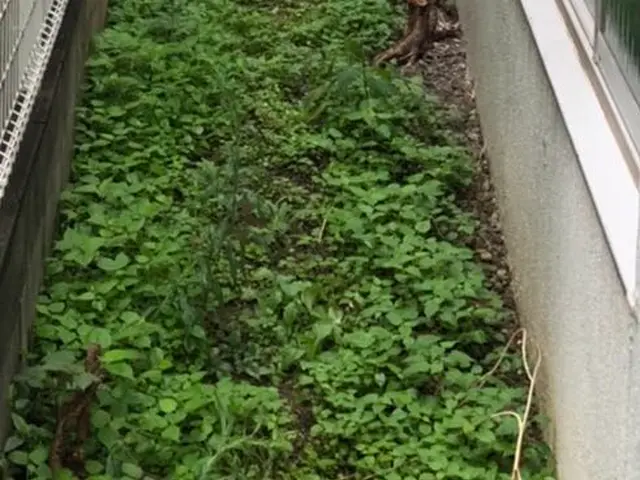 ☆業界歴23年☆外注作業一切なし！大手での経験も豊富です！サービスの画像