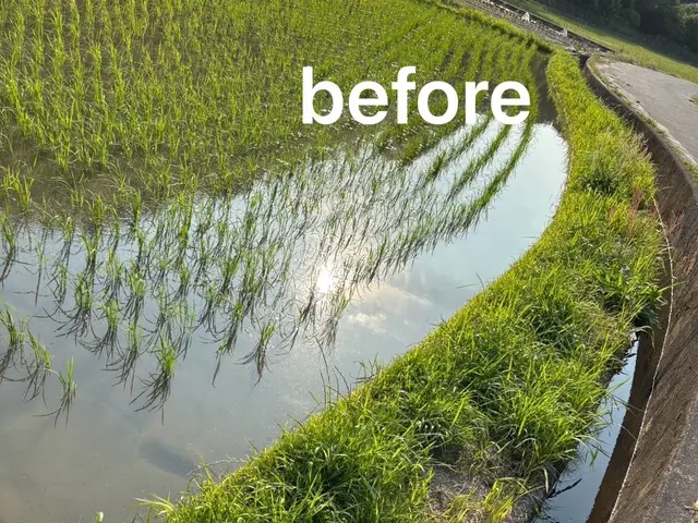 草刈り歴30年！ 丁寧・綺麗に仕上げます。満足していただけるよう頑張ります。サービスの画像