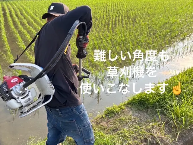 草刈り歴30年！ 丁寧・綺麗に仕上げます。満足していただけるよう頑張ります。サービスの画像