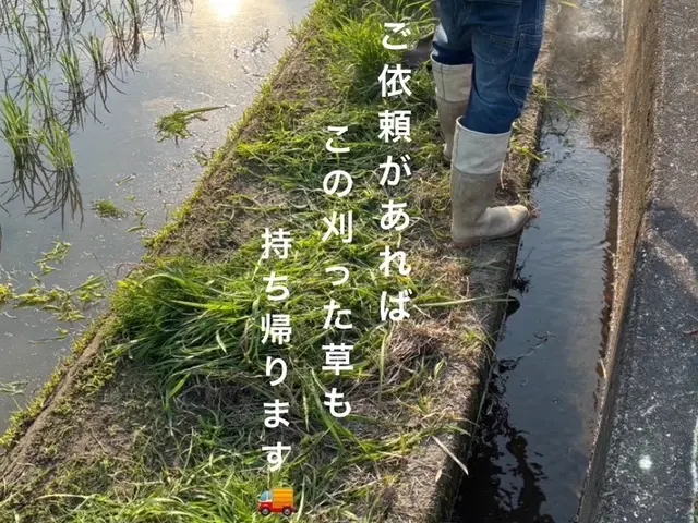 草刈り歴30年！ 丁寧・綺麗に仕上げます。満足していただけるよう頑張ります。サービスの画像