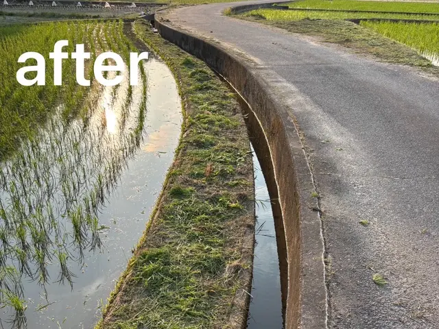 草刈り歴30年！ 丁寧・綺麗に仕上げます。満足していただけるよう頑張ります。サービスの画像