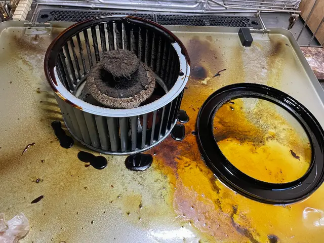 〈レンジフードクリーニング〉ギトギト油汚れをスッキリスベスベに！サービスの画像