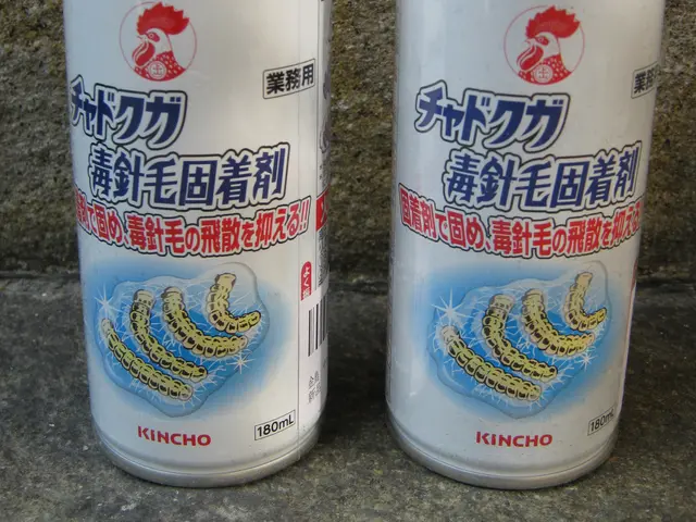 庭木の毛虫・チャドクガ駆除。職人歴23年、１級造園技能士の私がお伺いします。！サービスの画像