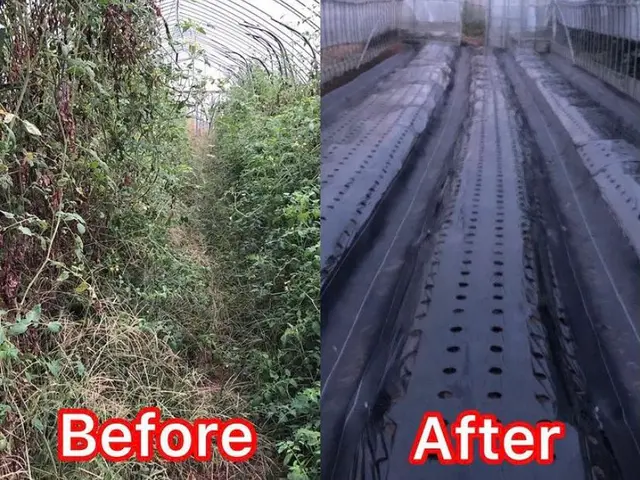 《業歴28年》職人親子でお伺い！スピーディーで丁寧な作業！※PayPay払い可能サービスの画像