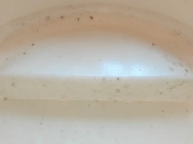 【風呂釜洗浄】プロが選ぶプロの洗浄技術！菌を除去して安心リラックスバスタイム！サービスの画像