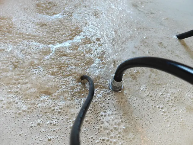 【風呂釜洗浄】プロが選ぶプロの洗浄技術！菌を除去して安心リラックスバスタイム！サービスの画像