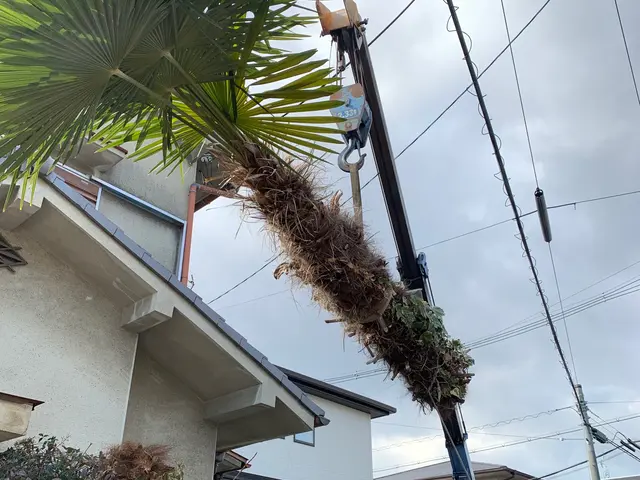 【お庭に新しい風と光と美しさをお届け】2月22日オープン記念に〇〇をプレゼント中サービスの画像