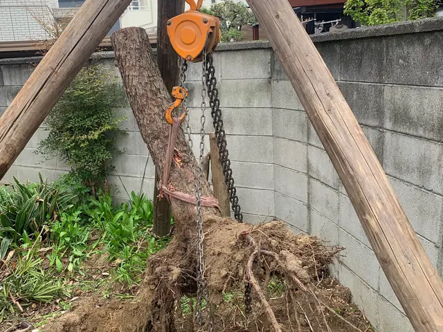 【お庭に新しい風と光と美しさをお届け】2月22日オープン記念に〇〇をプレゼント中サービスの画像