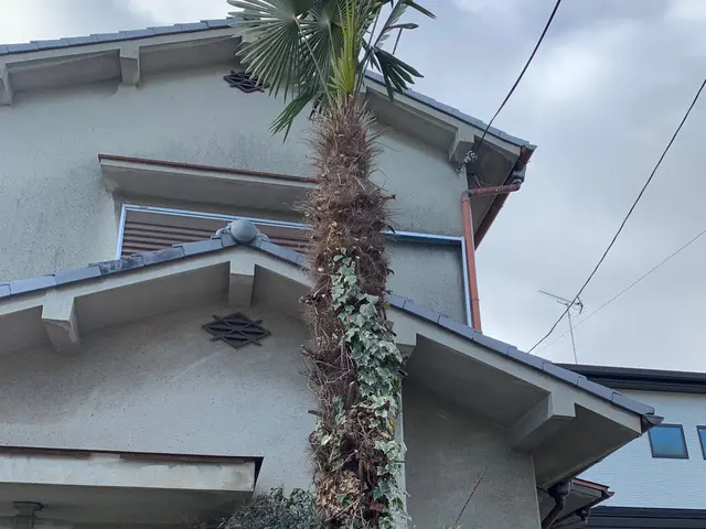 【お庭に新しい風と光と美しさをお届け】2月22日オープン記念に〇〇をプレゼント中サービスの画像