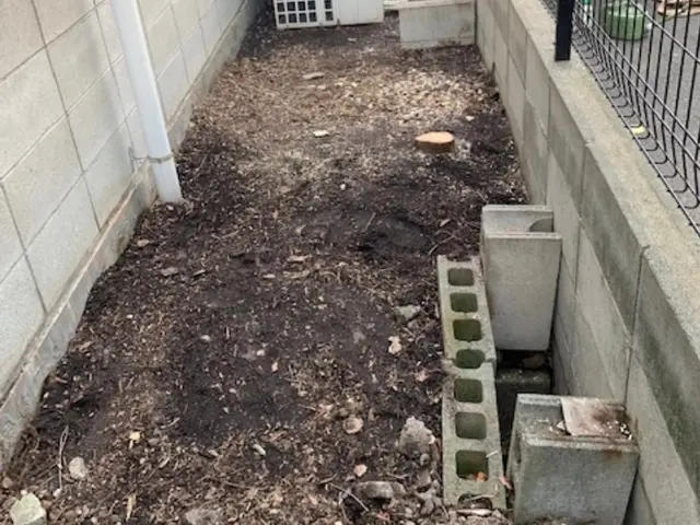 【お庭に新しい風と光と美しさをお届け】2月22日オープン記念に〇〇をプレゼント中サービスの画像