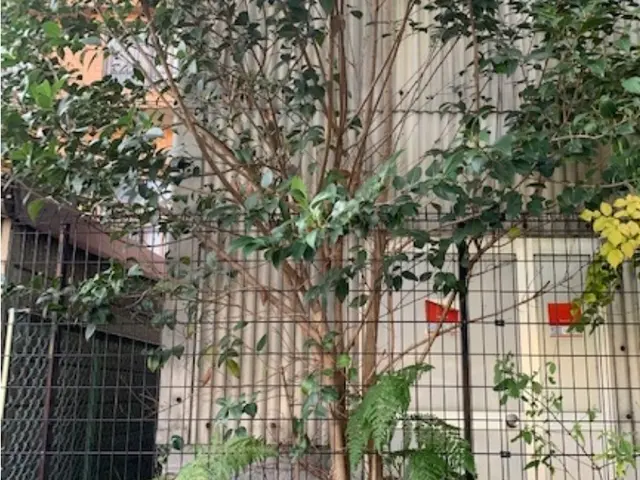 【お庭に新しい風と光と美しさをお届け】2月22日オープン記念に〇〇をプレゼント中サービスの画像