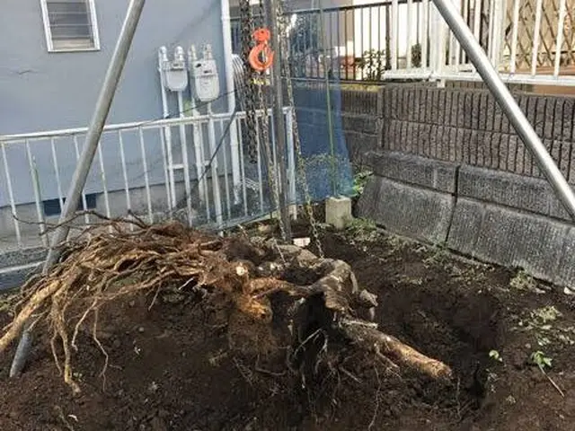 岩出市発！『年末に向けて非常に混み合います！』是非ご予約はお早めに！サービスの画像