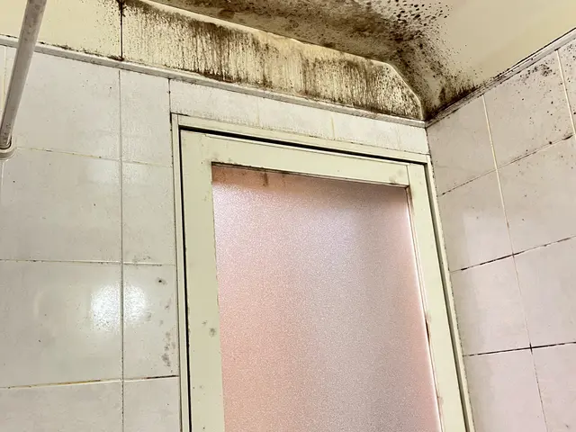 【繁忙期前キャンペーン価格】5児パパの私が、浴室をピカピカにして家族ニッコリ◎サービスの画像