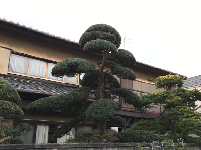 ※ 風の流れるお庭に　日差しの入るお庭へ！　　　お庭にお伺いできれば、幸いです。サービスの画像