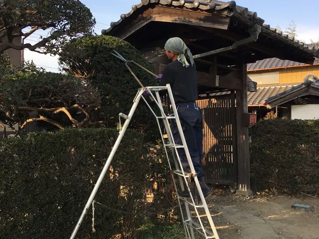 ※ 風の流れるお庭に　日差しの入るお庭へ！　　　お庭にお伺いできれば、幸いです。サービスの画像
