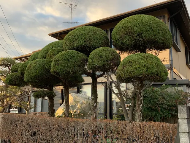 ※ 風の流れるお庭に　日差しの入るお庭へ！　　　お庭にお伺いできれば、幸いです。サービスの画像