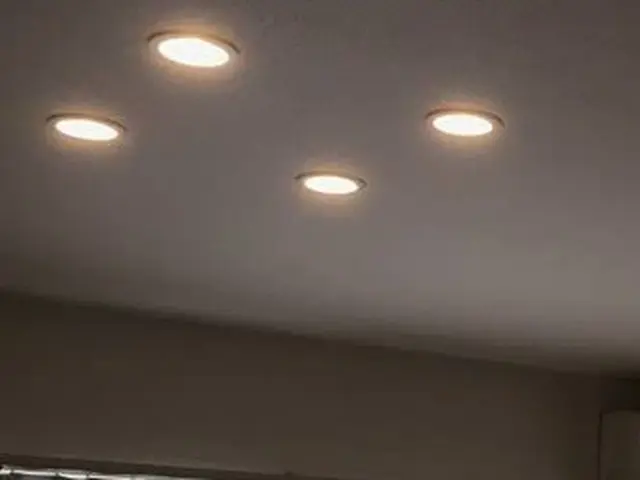 高所電球交換作業サービスの画像