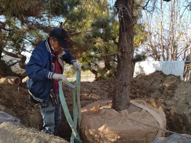損害保険加入済み◎豊富な経験と知識で安心！何でも当店へお任せください！サービスの画像