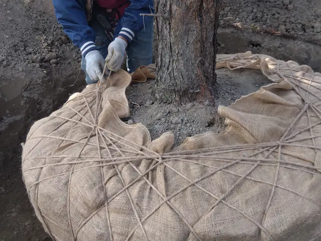 損害保険加入済み◎豊富な経験と知識で安心！何でも当店へお任せください！サービスの画像