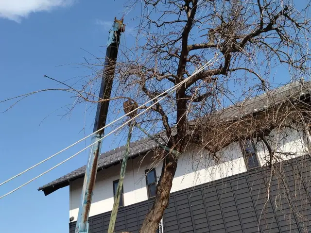損害保険加入済み◎豊富な経験と知識で安心！何でも当店へお任せください！サービスの画像
