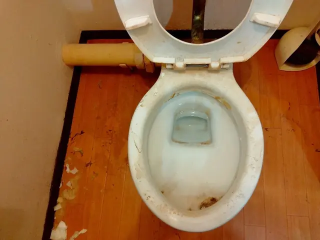 【モニター価格！】セットがお得！カビも水アカも徹底除去！サービスの画像