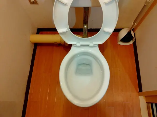 【モニター価格！】セットがお得！カビも水アカも徹底除去！サービスの画像