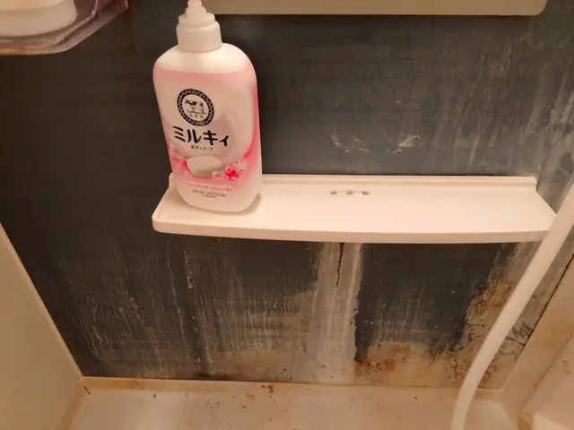 【モニター価格！】セットがお得！カビも水アカも徹底除去！サービスの画像