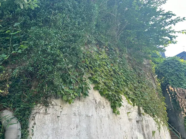 丁寧なコミュニケーションで、お客様の理想のお庭づくりをしっかりサポートします。サービスの画像