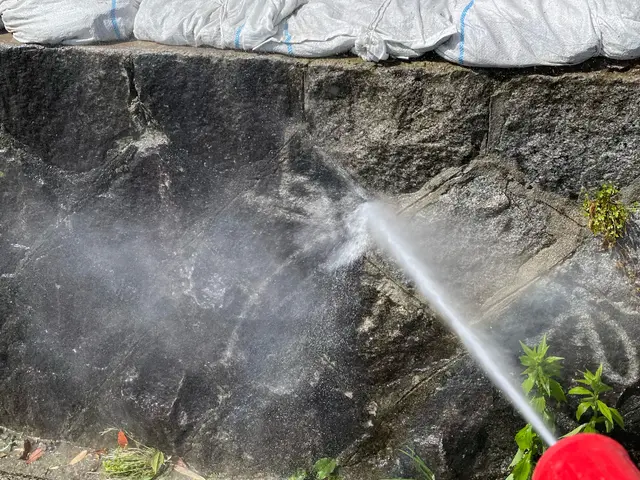 コケ、黒ずみキレイに洗浄します。以前の輝きを♪国家資格産業洗浄技能士１級取得サービスの画像