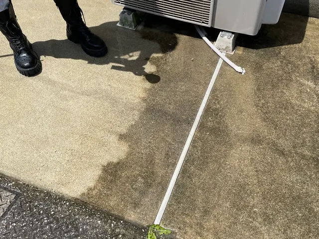 コケ、黒ずみキレイに洗浄します。以前の輝きを♪国家資格産業洗浄技能士１級取得サービスの画像