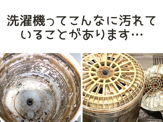 愛知◎土日完売◎『期間限定出店』８ｋｇまでの縦型対応！駐車場代当店負担★サービスの画像