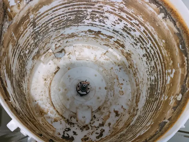 愛知◎土日完売◎『期間限定出店』８ｋｇまでの縦型対応！駐車場代当店負担★サービスの画像