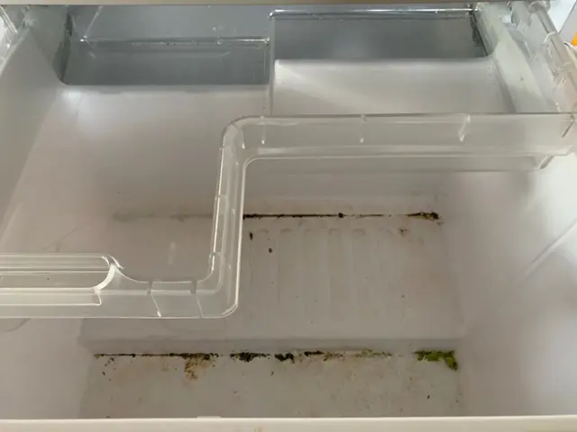 冷蔵庫を掃除致します！サービスの画像