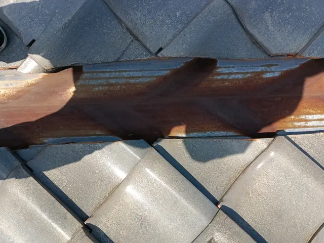 雨樋清掃します。サービスの画像