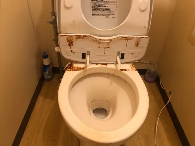 【ウォシュレット分解】【除菌】に特化した洗浄！サービスの画像