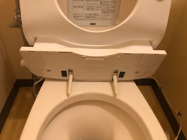 【ウォシュレット分解】【除菌】に特化した洗浄！サービスの画像