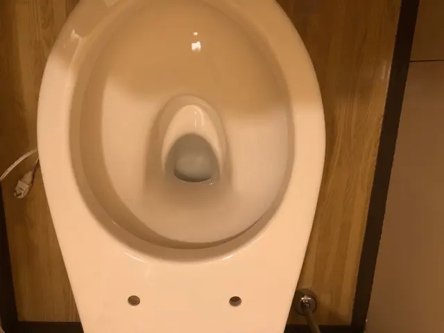 【ウォシュレット分解】【除菌】に特化した洗浄！サービスの画像