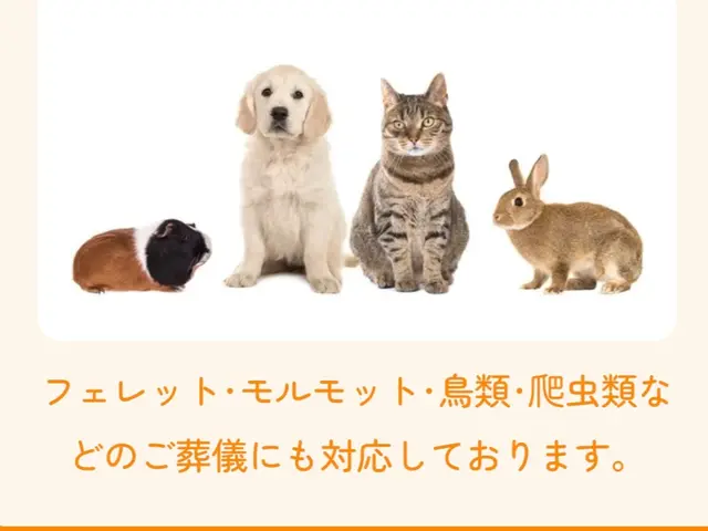 【ペット訪問火葬】365日24時間15.400円から無料エリア以外もご相談下さいサービスの画像