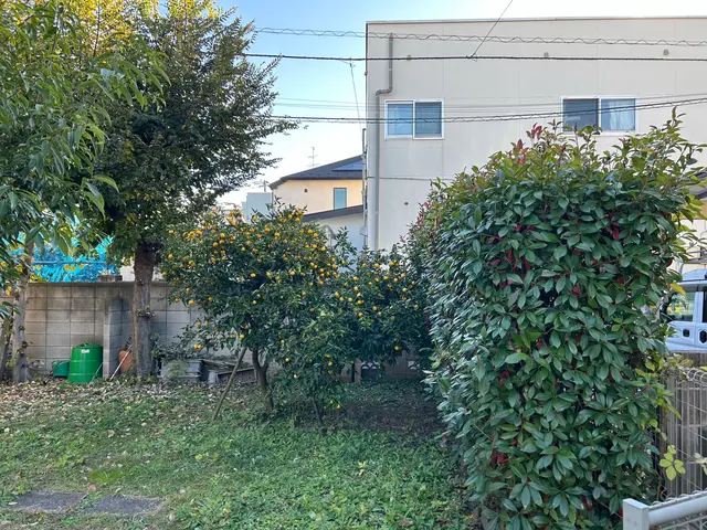 庭木の剪定いたしますサービスの画像